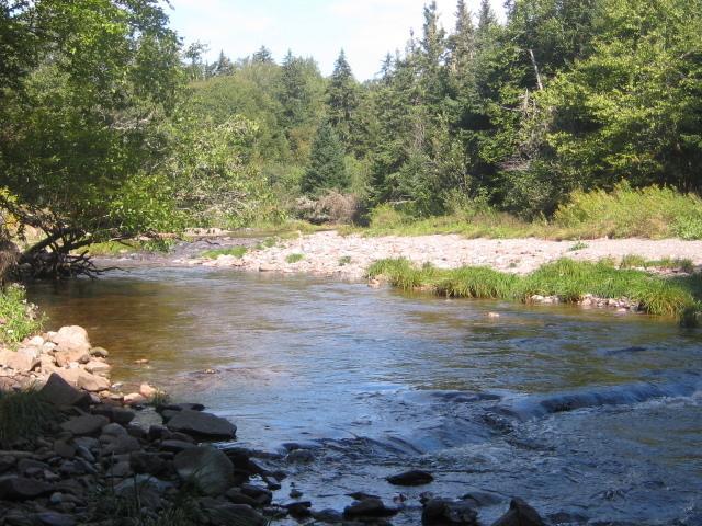 Moore'S Specialties Fundy Bay House Rental Gardner Creek Экстерьер фото
