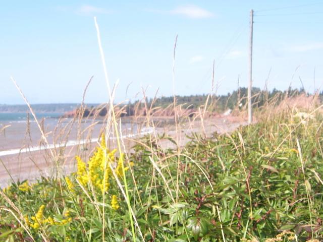 Moore'S Specialties Fundy Bay House Rental Gardner Creek Экстерьер фото