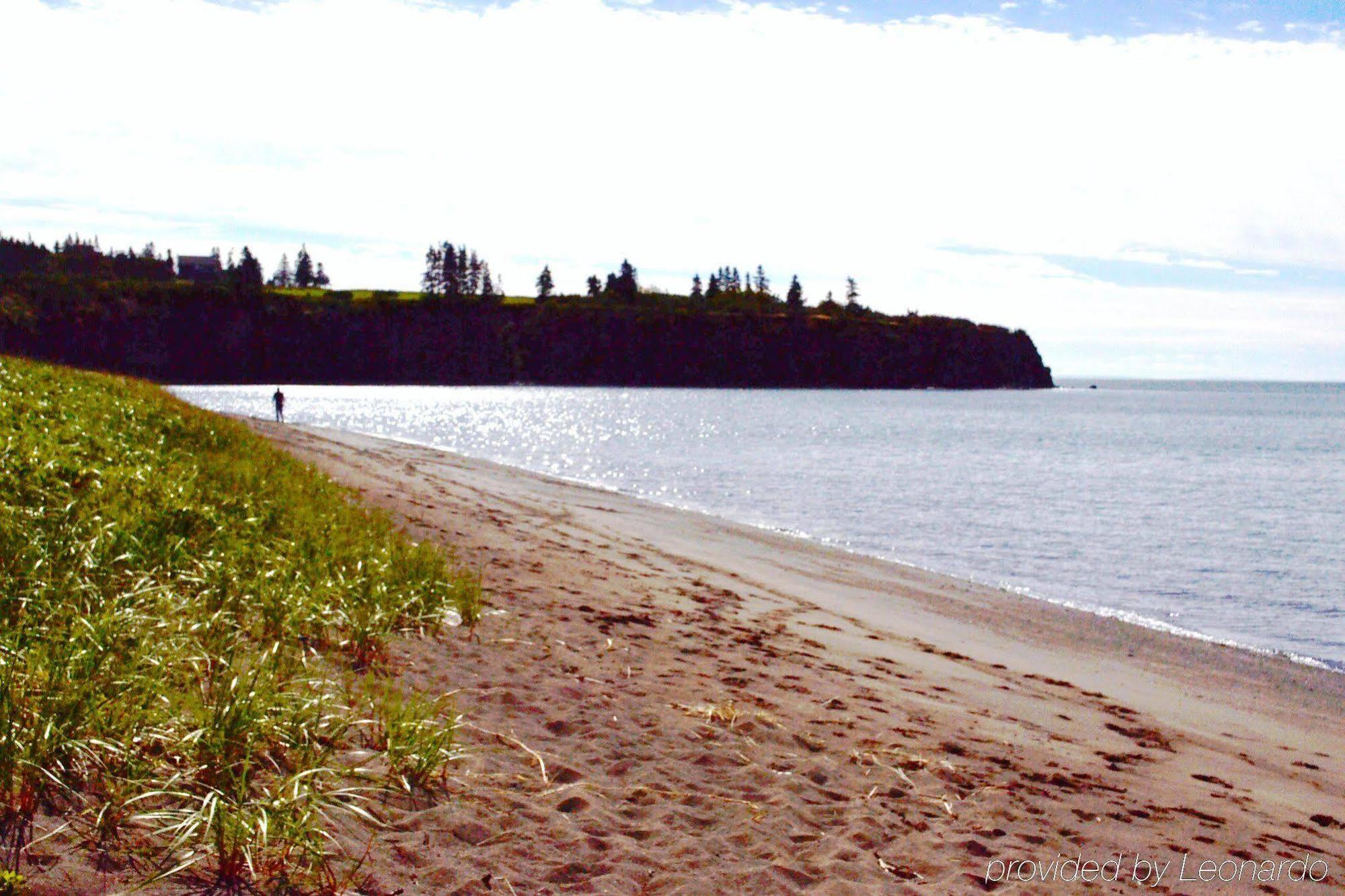 Moore'S Specialties Fundy Bay House Rental Gardner Creek Экстерьер фото
