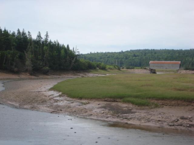 Moore'S Specialties Fundy Bay House Rental Gardner Creek Экстерьер фото